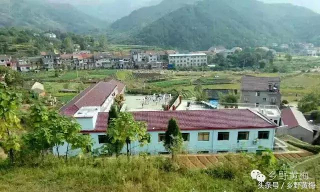 难忘大青山,难忘中学