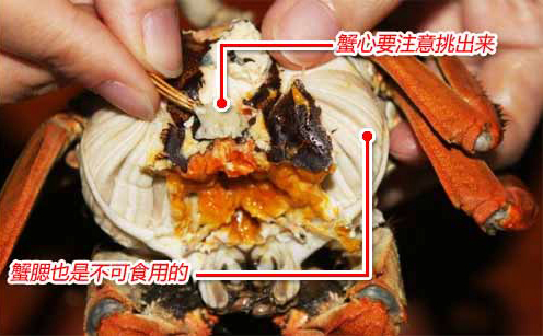 老渔翁吃鱼,老渔翁海鲜