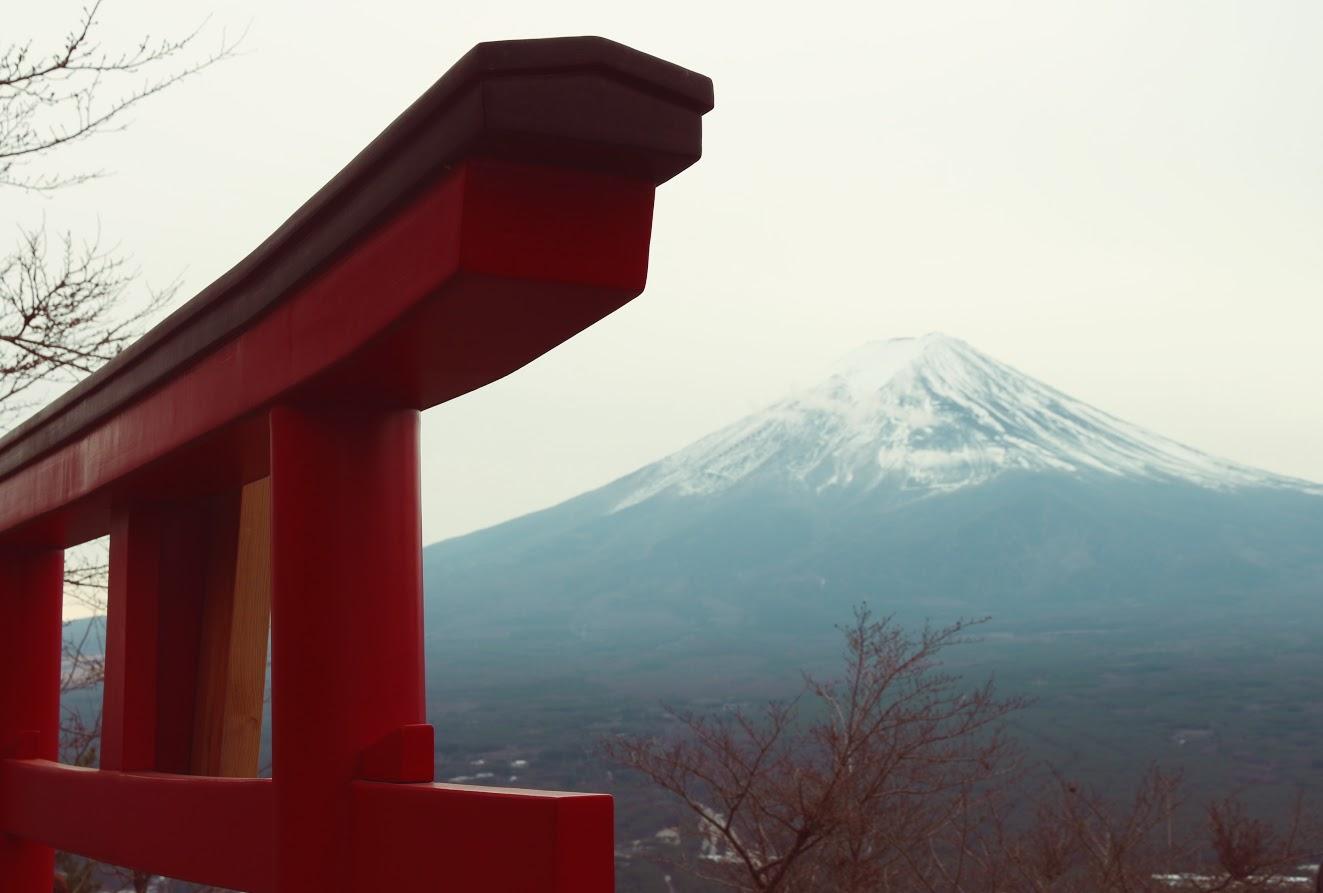 京都银杏图虫旅行,手绘研学旅游日记
