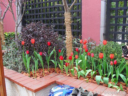 200平庭院花园轻奢,280平花园法式