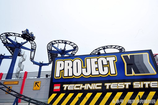 乐高积木成人款植物多肉,小玩具乐高