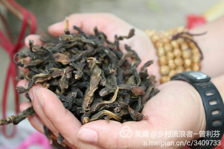 记住乡愁河源热水镇,发现河源