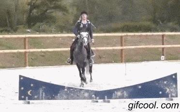 还一个球队都有这么一个球迷就赢了