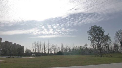 扬州版“百草园”等你来！冬季仍是翠绿鹅黄，色彩斑斓！