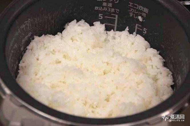 日本电饭煲排行榜第一名,日本电饭煲煮饭对比