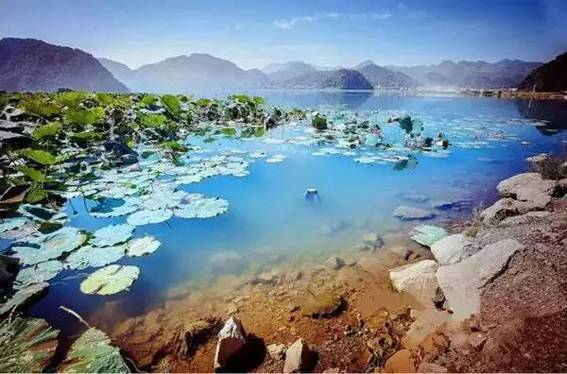 体验从昆明至西双版纳高铁,云桂高铁富宁站