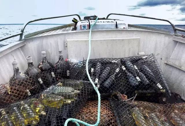 海底陈年葡萄酒,这事靠谱么?