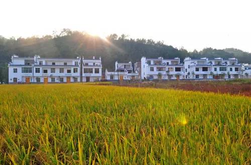 word天！赣州这些村落被国家点名了！这是要“搞事情”啊