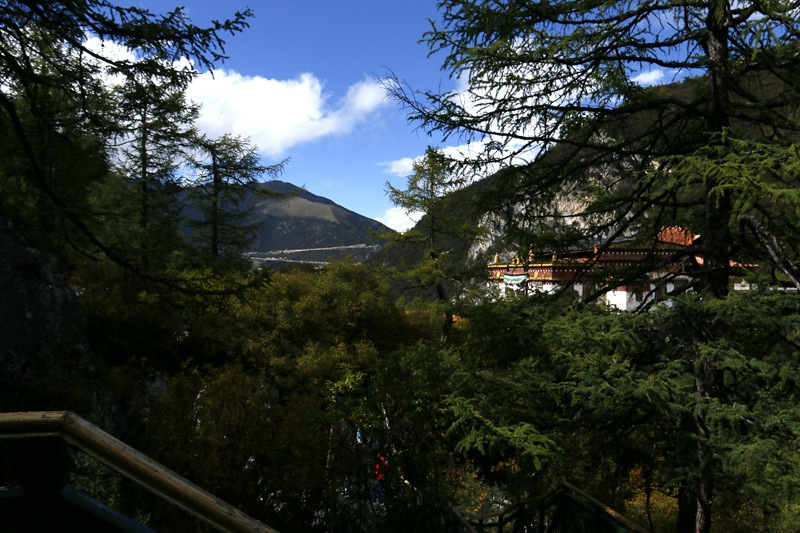 佩服自己，我在亚丁冒雨溯溪央迈勇到牛奶海