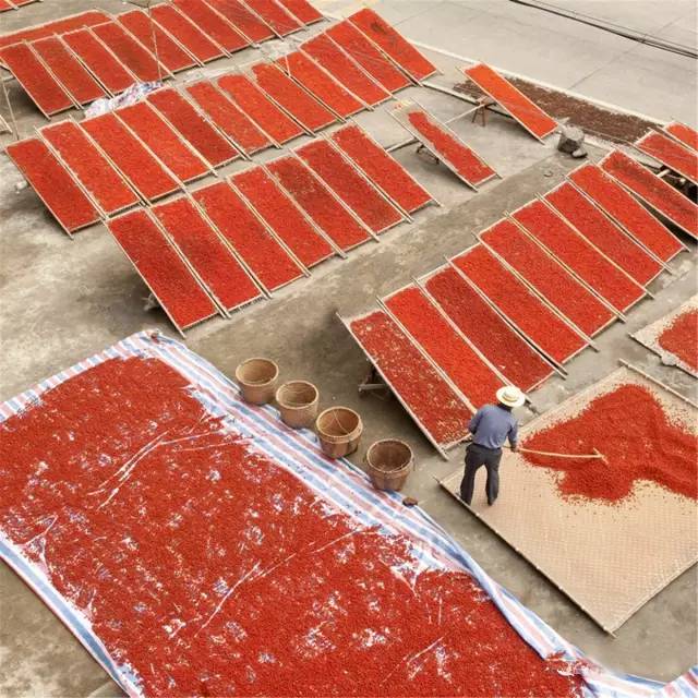 福鼎风景好的村庄,福鼎乡村旅游景点推荐