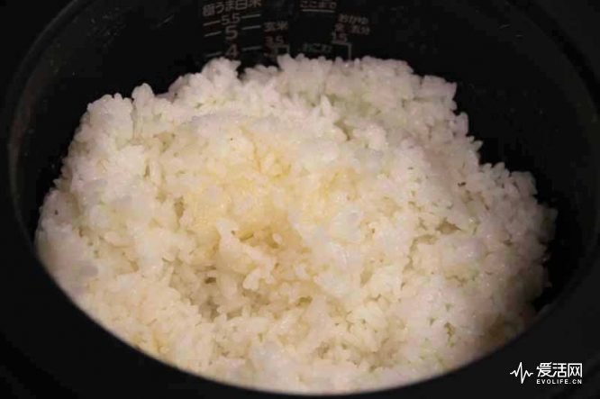 日本电饭煲排行榜第一名,日本电饭煲煮饭对比