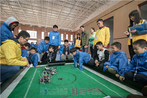 广西柳州比赛冠军,广西柳州比赛