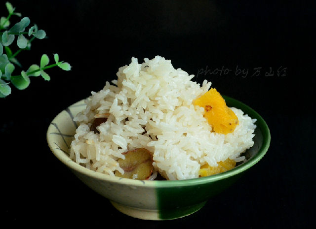 五常稻花香体验报告