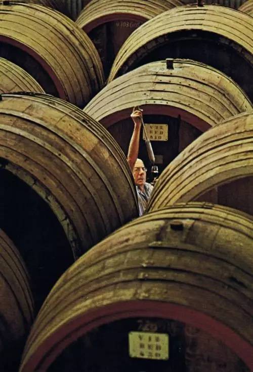 如何挑选一款适合自己的口粮酒 (南美酒怎么挑)