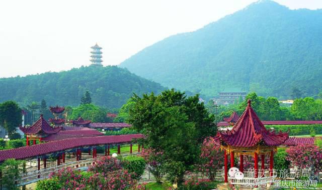 广肇城际轻轨最新官方消息,广肇城际在广州哪儿上车