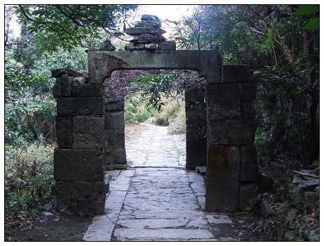 藏在深山无人识,石台县原始森林