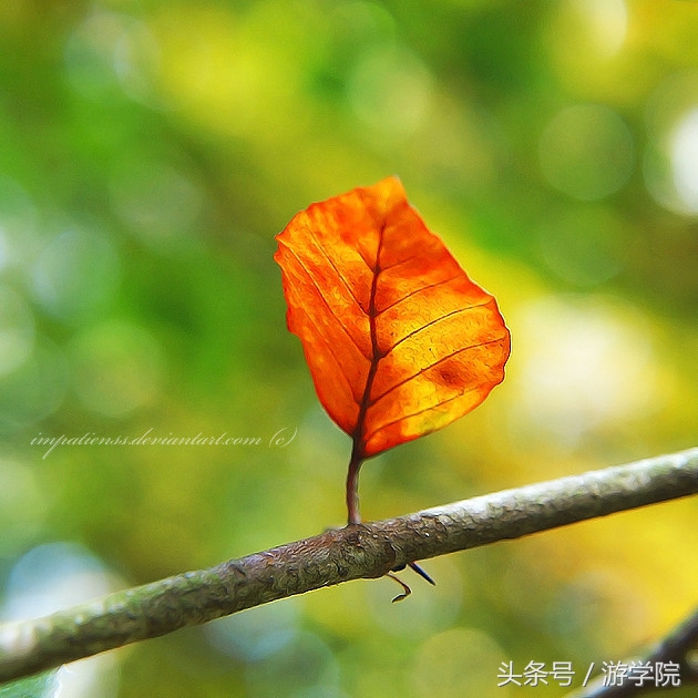 摄影答疑,解答摄影问题