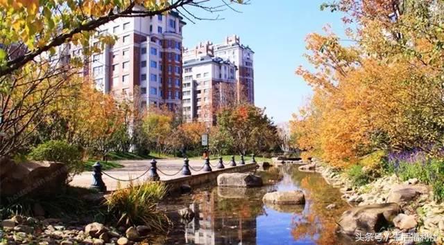 哈尔滨近10年房价一览表,哈尔滨2021年御湖壹号的房价