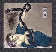 百鬼夜行茨木童子玉藻前,玉藻前和sp姑获鸟哪个值得培养