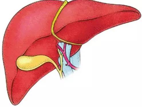 喉镜查出有囊肿有可能是癌吗,体检查出宫颈囊肿怎么办