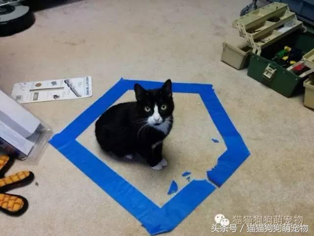 教你如何抓住小偷,教你如何抓住快速上涨的股票