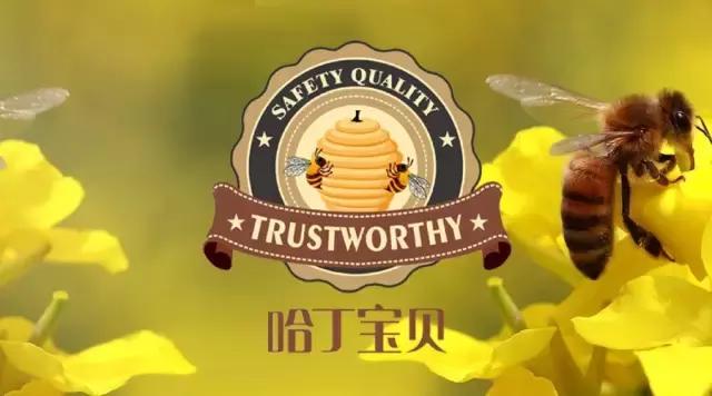 哈丁宝贝营养保湿乳,哈丁宝贝新生儿营养保湿乳霜