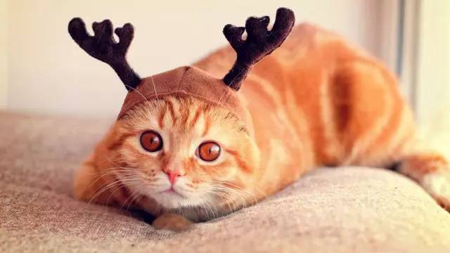 这才是真正的保暖神器,天冷了这些抗寒神器你都知道吗