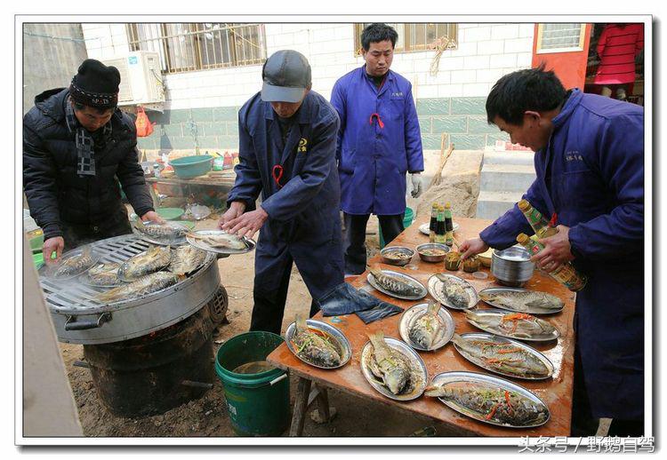 野鹅自驾甘肃,野鹅自驾