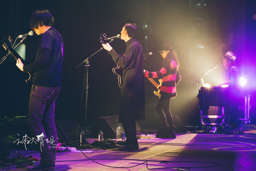 海龟先生死不回头巡演郑州,海龟先生巡演