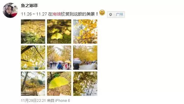 南雄看银杏值得去吗,南雄看银杏攻略