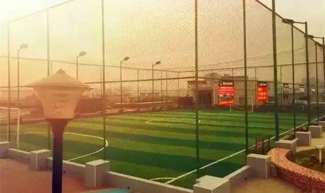 成都最爽看足球比赛的地方,成都有哪些免费的足球场