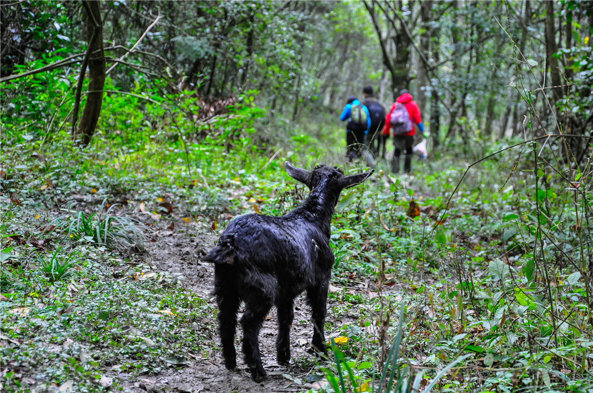 侠之梦受邀参与恩施坪坝营线路测试，冬季溯溪，冰冷刺骨，第一天