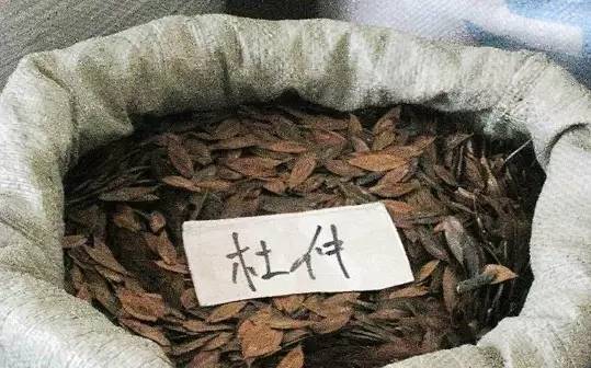 补肾有没有必要吃药,补肾到底什么药好用