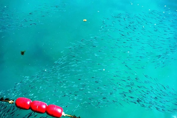 全家去三亚自驾过年攻略,十一月份带全家去三亚