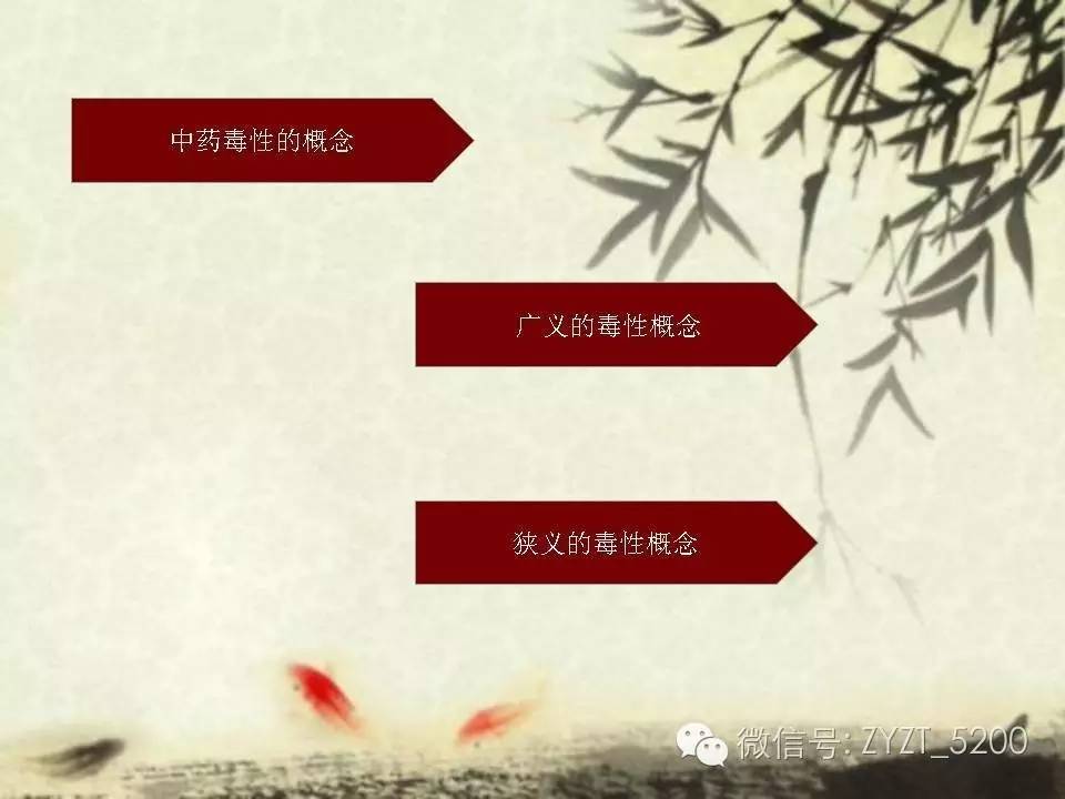 高鑫风湿医生,高鑫中医