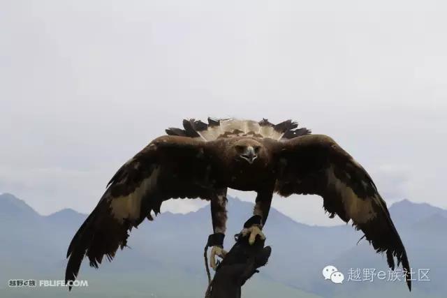 说走就走出去溜达,说走就走出去玩视频