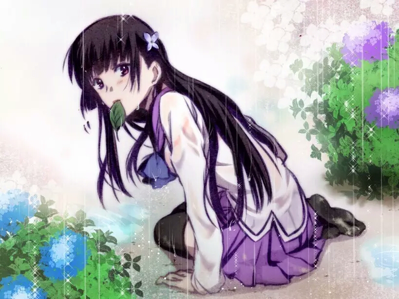 散华礼弥哪张壁纸最好看,散华礼弥壁纸图鉴