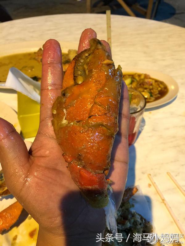 仙本那考潜水证日程,去仙本那潜水要考什么证