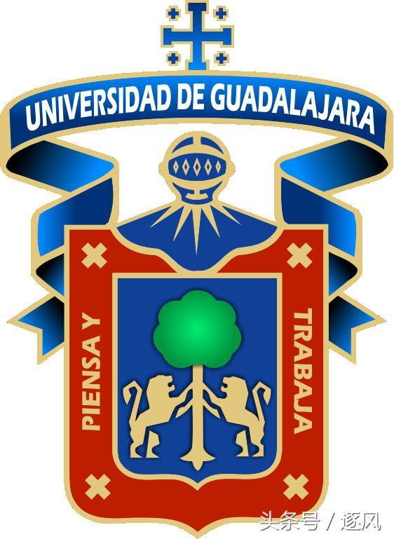 广州恒大登上亚洲之巅新闻报道,广州恒大队徽2颗星