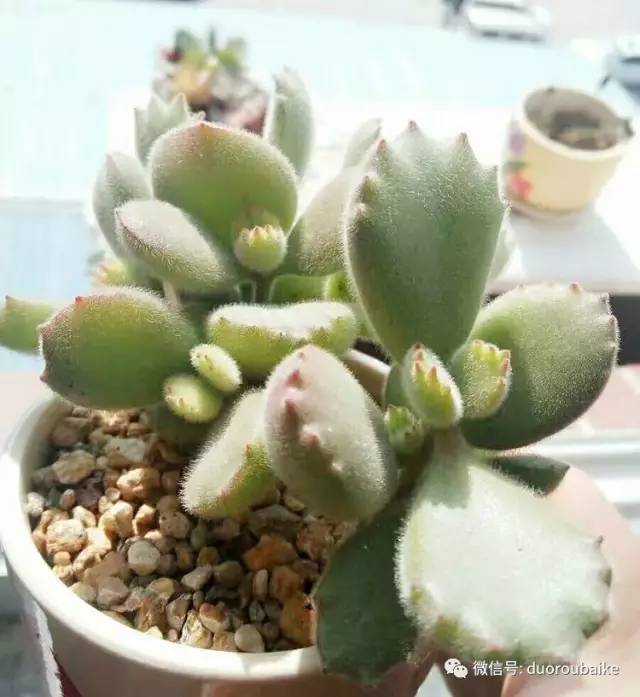 美好的时光带来快乐,美好的时光伴随着我