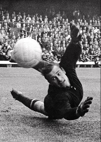 足坛前十名门将排名,足坛历史前十门将