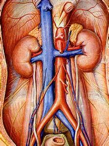 肚子咕咕响然后腹部鼓起一个包,肚子软软的敲着咚咚响是胀气吗