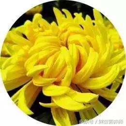 冬季手脚干燥裂口……教你一招就搞定