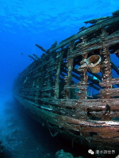 免签岛国斐济颠覆你对潜水的感官体验
