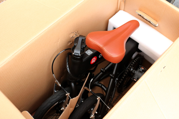 大鱼电动自行车推荐,大鱼智行车飞轮