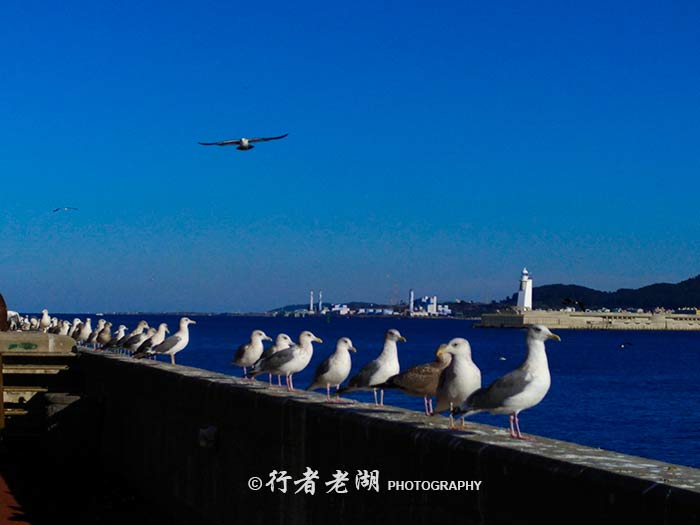 济州岛7天旅游攻略图,53天环游南太平洋旅游攻略