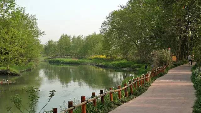 去温江有啥好玩的,夏季温江游玩景点有哪些