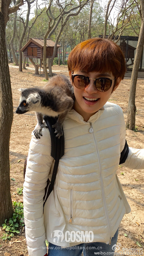 宋茜唐嫣发际线,唐嫣宋茜发际线高发型