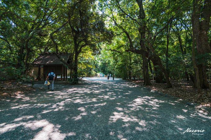 粉红猪小妹与小猪佩奇,粉红猪小妹的快乐生活