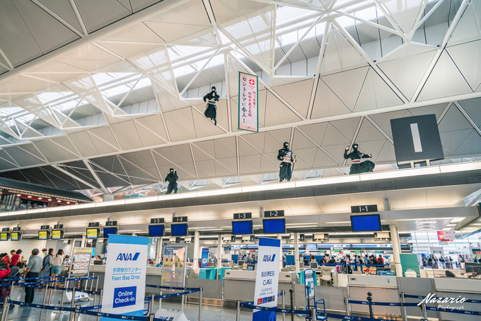 粉红猪小妹与小猪佩奇,粉红猪小妹的快乐生活